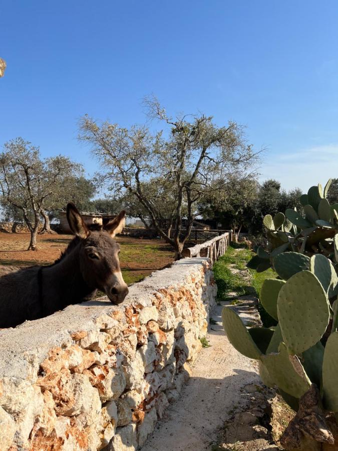 Trulli Dell'Angelo Vila Specchiolla Exterior foto
